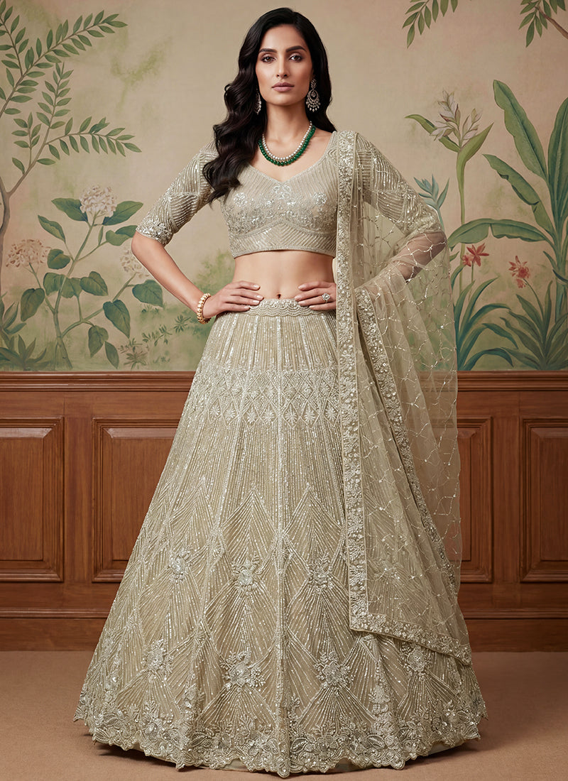 Beige Net Embroidery Work Bridal Wear Lehenga Choli SW552736