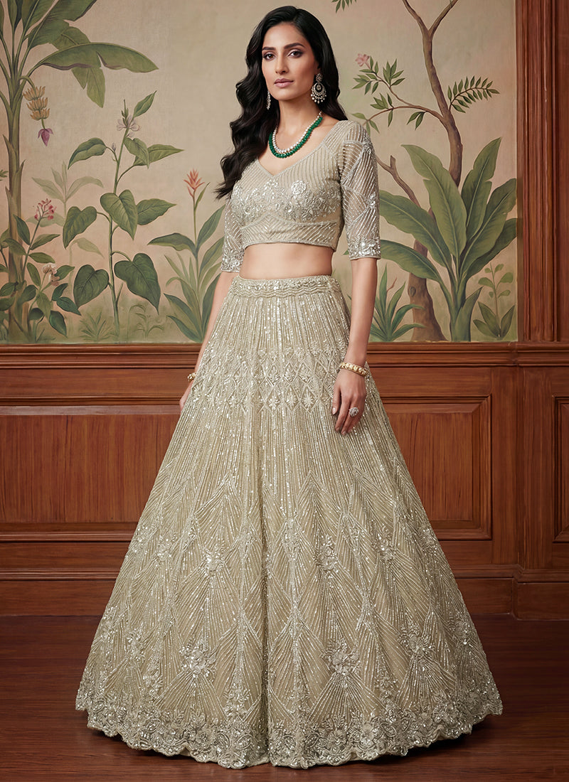 Beige Net Embroidery Work Bridal Wear Lehenga Choli SW552736