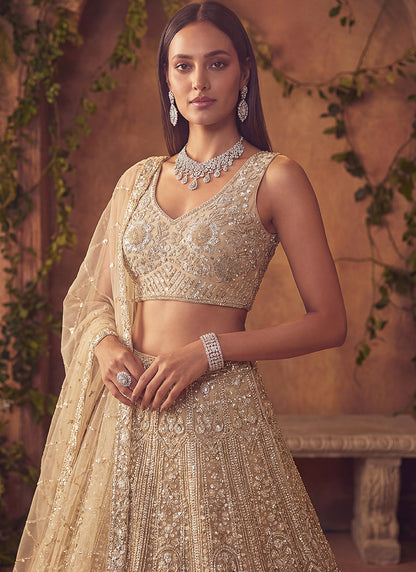 Beige Net Sequins Work  Wedding Wear Lehenga Choli SW600054