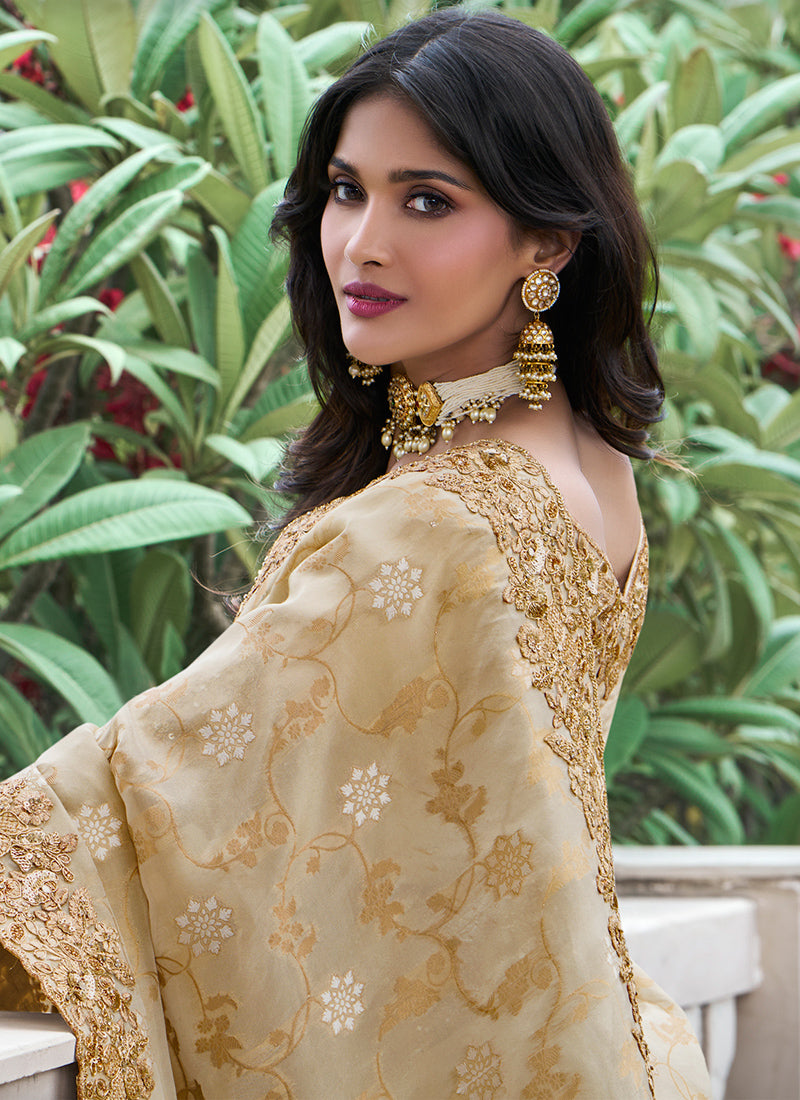 Beige Pure Tissue Silk Embroidery Work Occasional Wear Saree SW365766