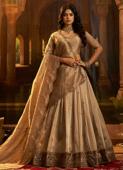 Organza Brown Party Wear Zari Sequins Work Lehenga Choli 388596