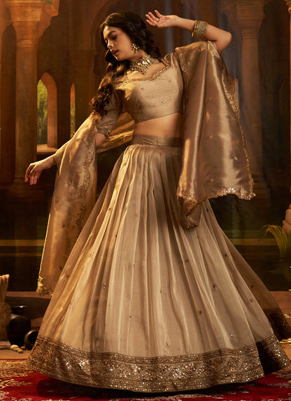 Organza Brown Party Wear Zari Sequins Work Lehenga Choli 388596