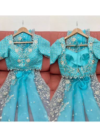 Sky Blue Organza Sequins Work  Casual Wear Saree SW846470